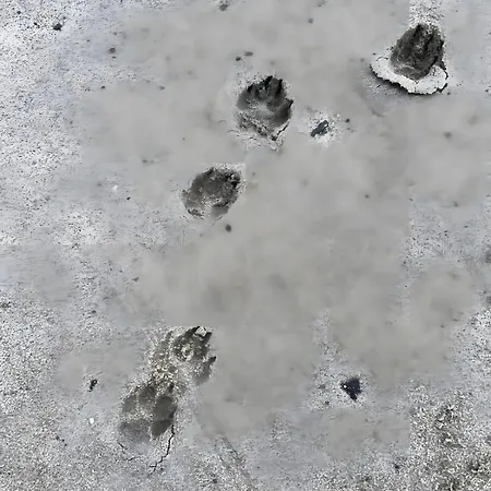 Zum Weserstrand Sandstedt